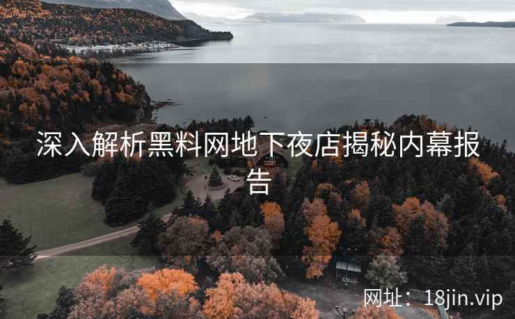深入解析黑料网地下夜店揭秘内幕报告