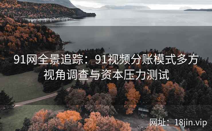 91网全景追踪：91视频分账模式多方视角调查与资本压力测试