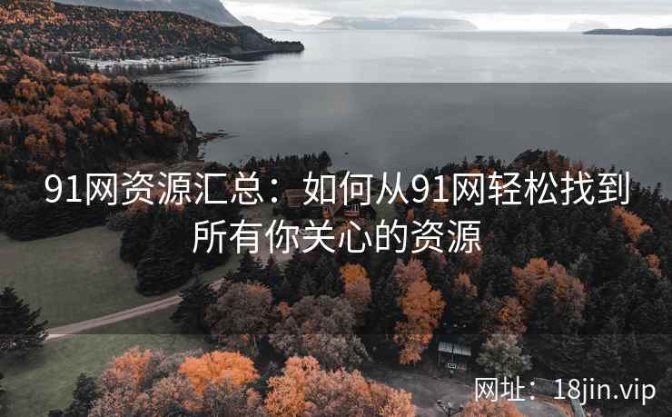 91网资源汇总：如何从91网轻松找到所有你关心的资源